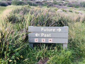 Life History Theory: How Your Past Shapes Your Future
