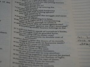 Logorrhea: The Psychology of Unstoppable Speech
