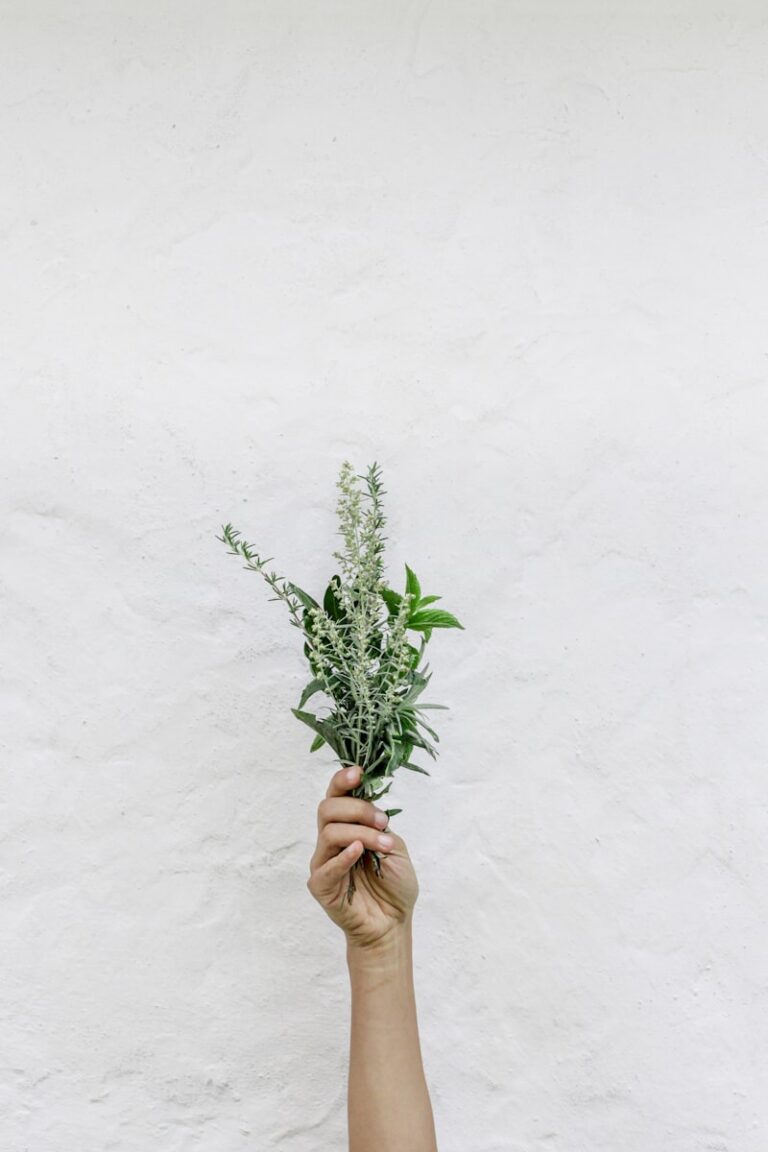 Mood Regulation: Can This Plant Naturally Lift Your Spirit?