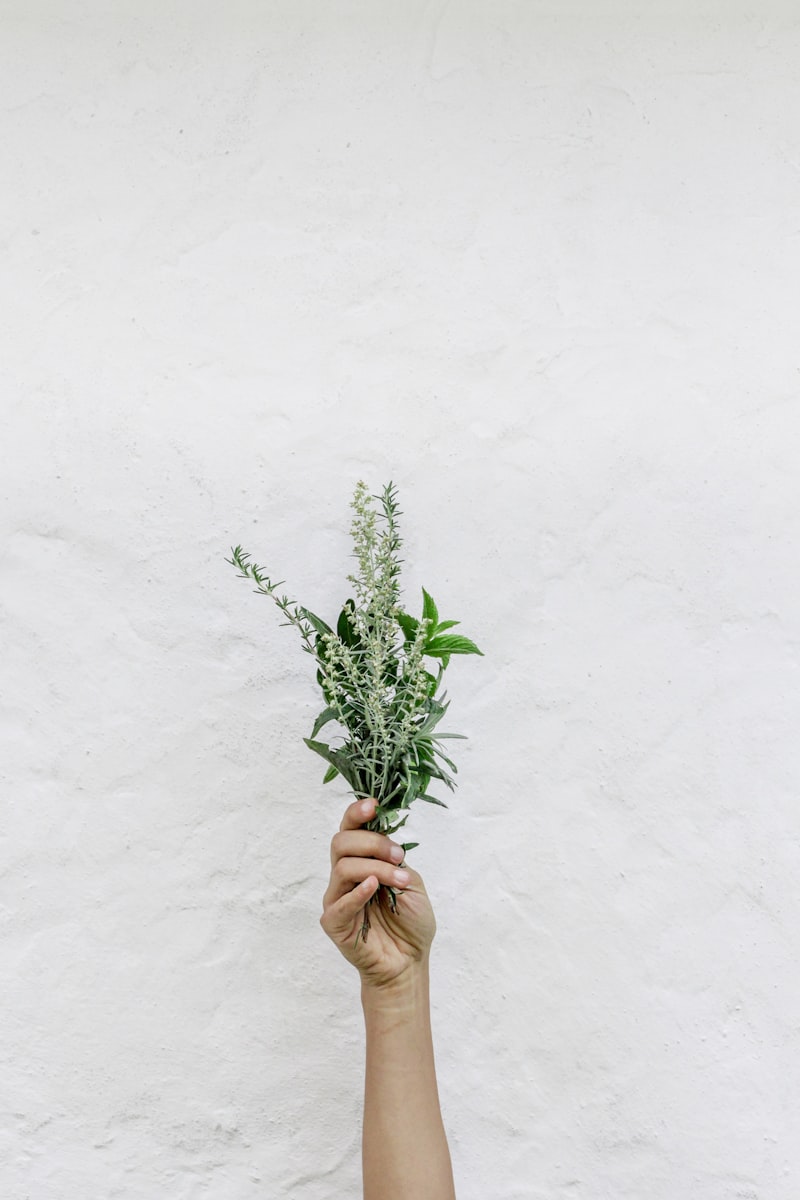 Mood Regulation: Can This Plant Naturally Lift Your Spirit?