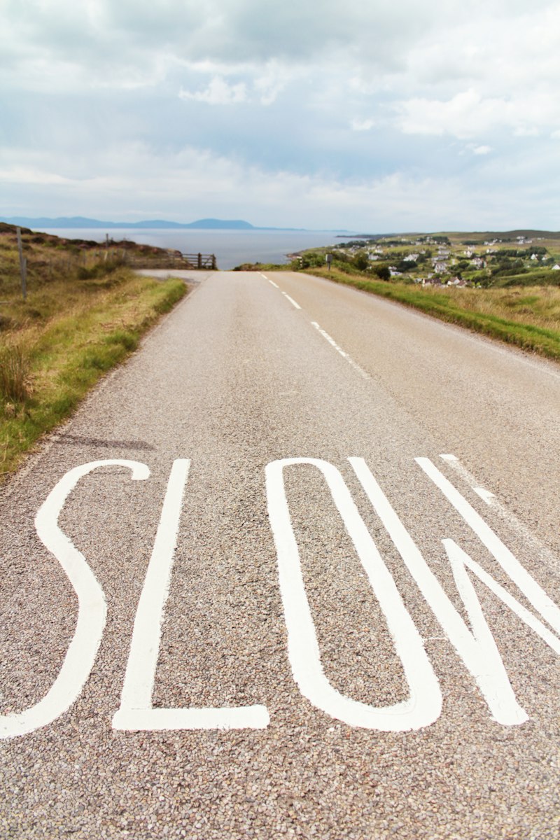 Motor Control: Decoding the Science of Slowness