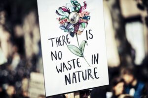 Naturalistic Fallacy: Why Nature Isn't Always Right