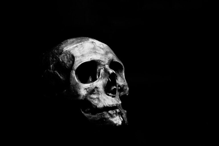Necromania: Unveiling the Dark Psychology of Death