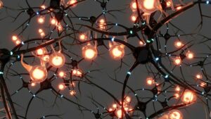 Neural Chains: Mapping the Architecture of Human Thought