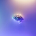 Neuropsychiatry: Merging Brain Science and Psychoanalysis