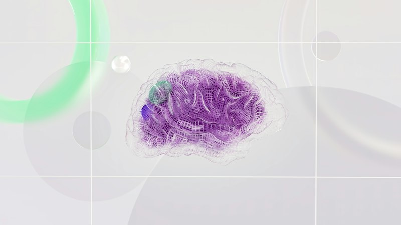 Neurovascular Imaging: Mapping the Architecture of Thought
