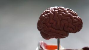 Niacin Deficiency: Is Your Diet Affecting Your Mind?