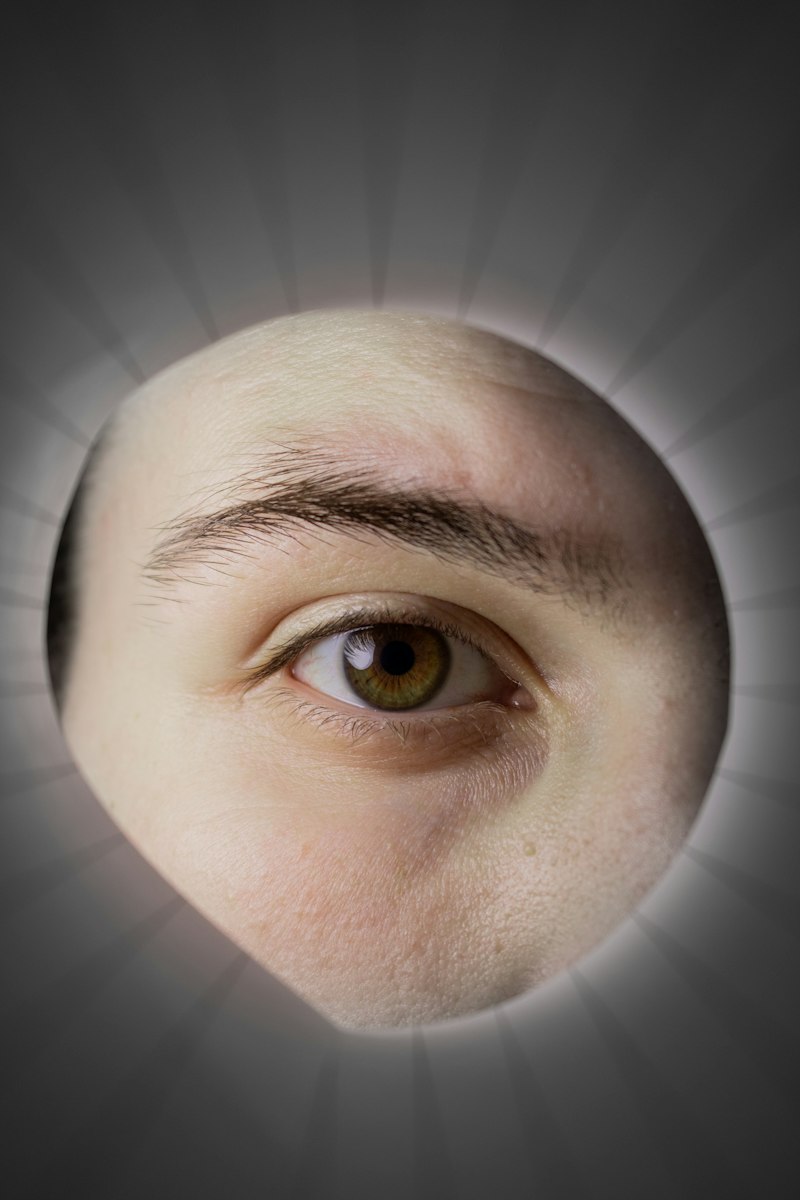Ocular Perception: Decoding the Hidden Window to the Mind
