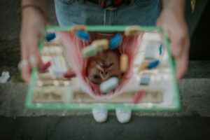 Opioid Antagonism: Rewiring the Addicted Brain