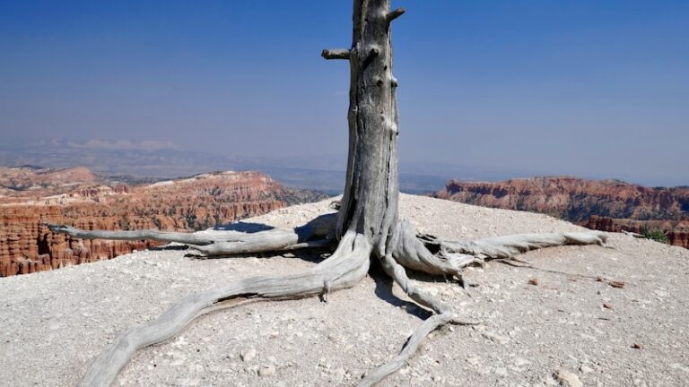 Parkinson’s Disease: Decoding the Roots of Tremors