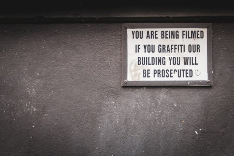 Passive Scopophilia: The Thrill of Being Watched