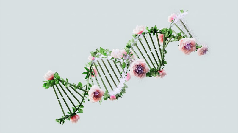 Paternal Archetypes: Beyond Biology, Defining Identity