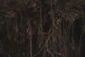 Pathos: Uncovering the Roots of Human Suffering