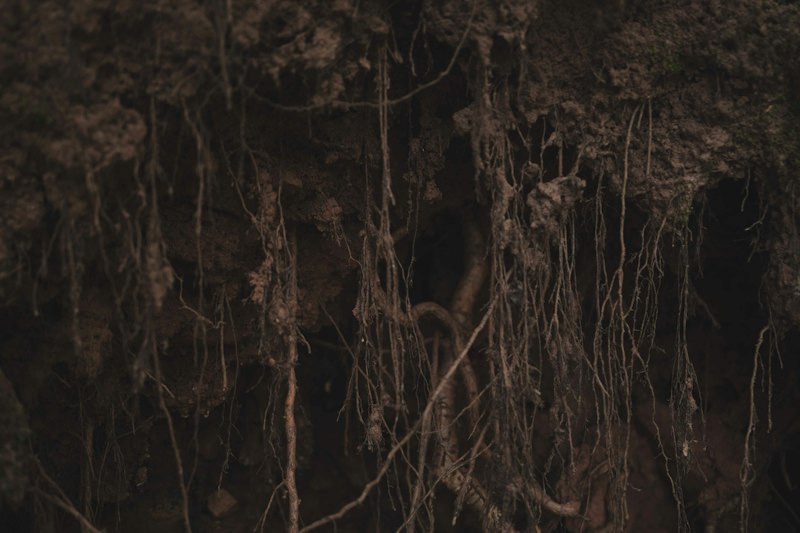 Pathos: Uncovering the Roots of Human Suffering