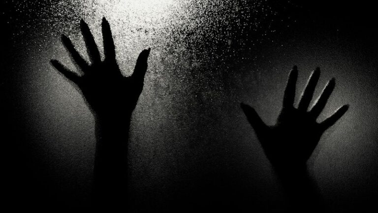 Pavor: Unlocking the Mystery of Night Terrors