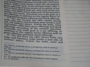 Phonological Repetition: Decoding the Power of Tono-