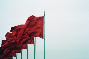 Postpartum Psychosis: Recognizing the Hidden Red Flags