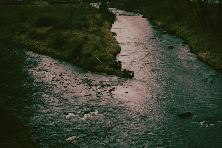 Problem Solving: Mastering the River Crossing Logic