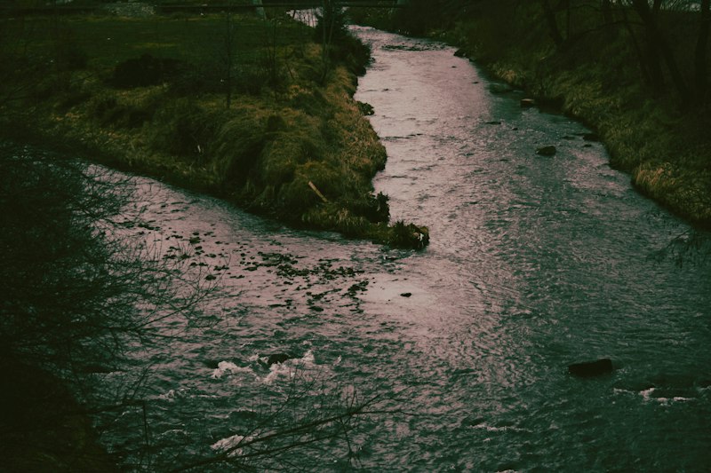 Problem Solving: Mastering the River Crossing Logic