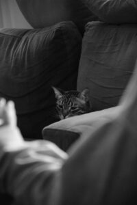 Psychometric Assessment: Decoding the Legacy of the CAT