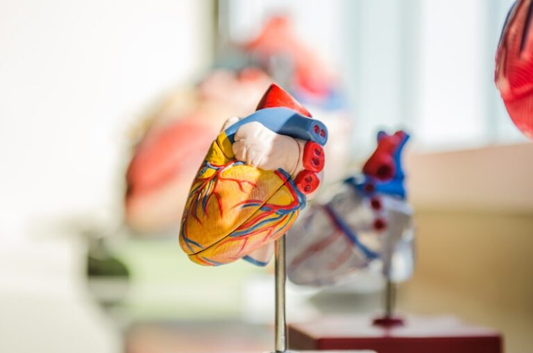 Psychophysiology: How Stress Disrupts Your Heart Rhythm