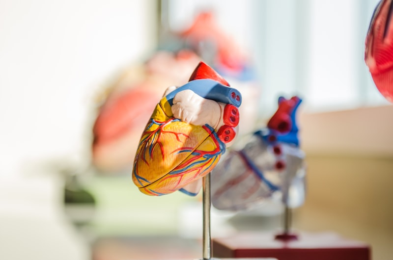 Psychophysiology: How Stress Disrupts Your Heart Rhythm