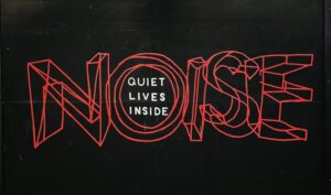 Pure Word Deafness: When Speech Becomes Mere Noise