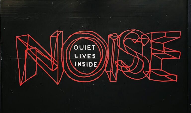 Pure Word Deafness: When Speech Becomes Mere Noise