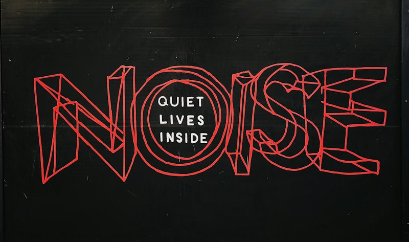Pure Word Deafness: When Speech Becomes Mere Noise
