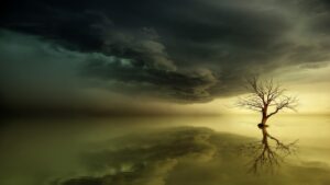 Reasoning Mania: Logic Within the Bipolar Storm