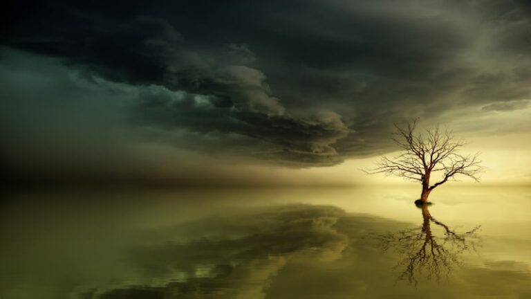 Reasoning Mania: Logic Within the Bipolar Storm
