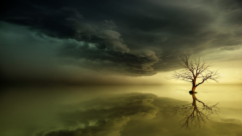 Reasoning Mania: Logic Within the Bipolar Storm