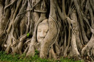 Religiousness: Unlocking the Roots of Human Belief