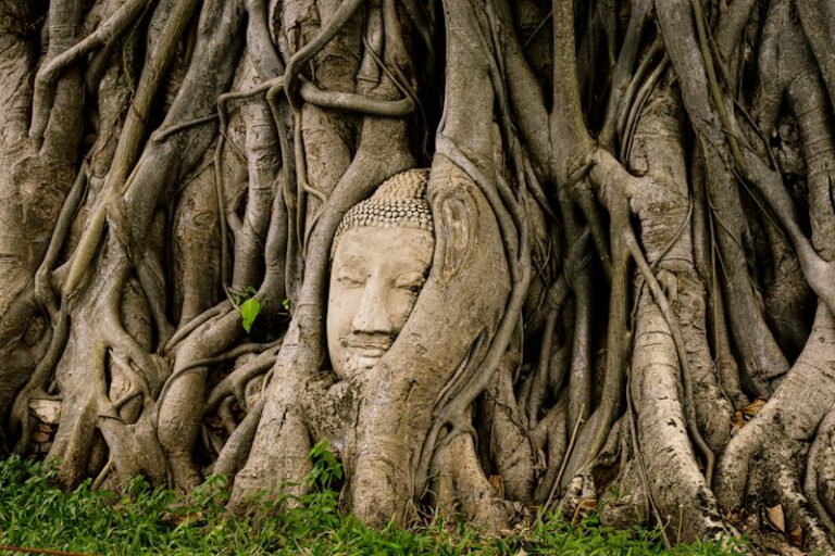 Religiousness: Unlocking the Roots of Human Belief