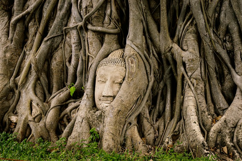 Religiousness: Unlocking the Roots of Human Belief