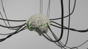 Representative Factors: How Your Mind Maps Reality