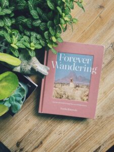 Reverie: Unlock the Hidden Potential of Your Wandering Mind
