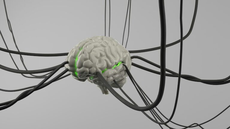 Schizencephaly: Unraveling the Complexity of Brain Growth