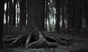Schizophreniagenic: Unmasking the Roots of Psychosis