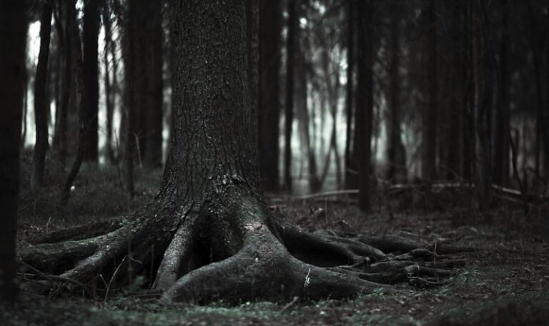 Schizophreniagenic: Unmasking the Roots of Psychosis