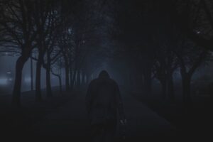 Scotopic Vision: How Your Mind Perceives the Dark