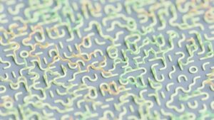 Search Image: How Your Brain Unlocks Hidden Patterns