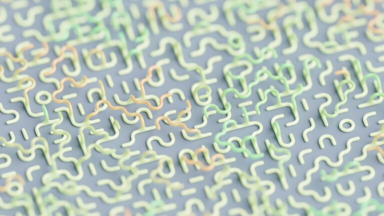 Search Image: How Your Brain Unlocks Hidden Patterns
