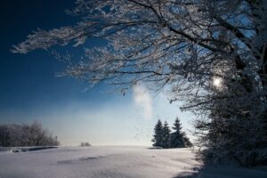 Seasonal Affective Disorder: Beat the Winter Gloom