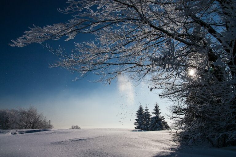 Seasonal Affective Disorder: Beat the Winter Gloom