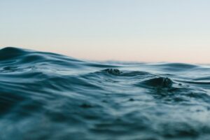 Sensory Perception: How Water Shapes Your Reality