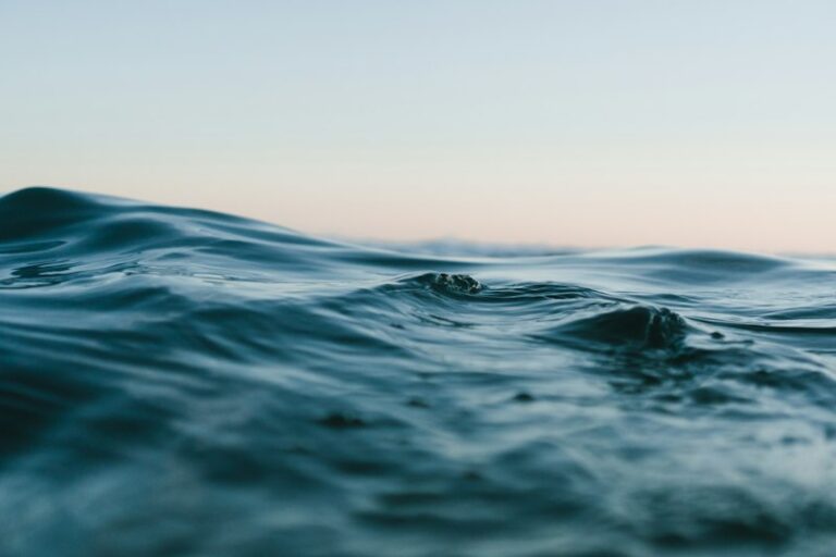 Sensory Perception: How Water Shapes Your Reality