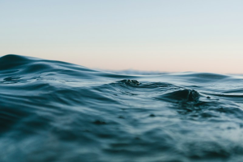 Sensory Perception: How Water Shapes Your Reality