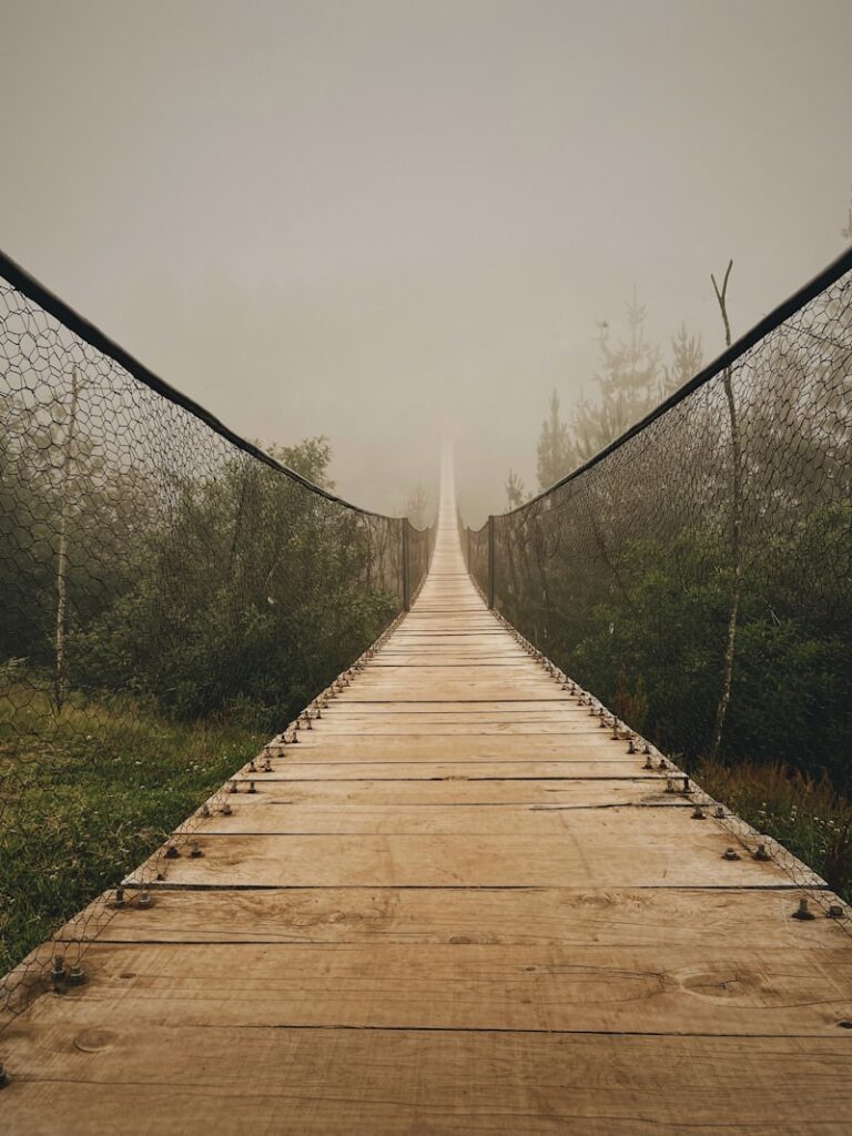 Shamanism: Healing the Bridge Between Mind and Spirit