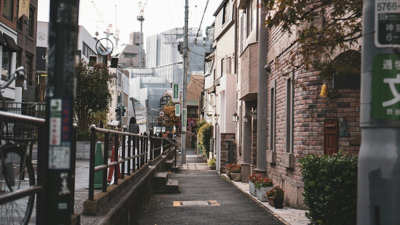 Shinkeishitsu: Japan’s Unique Path to Overcoming Anxiety